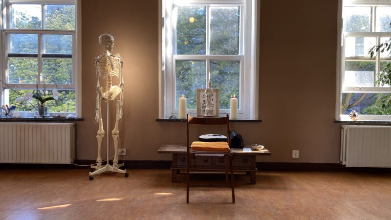 GevoelsBewust Bewegen