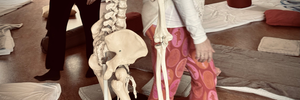 GevoelsBewust Bewegen vanuit botbewustzijn